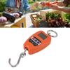 Portable Electronic Scale High Accuracy Digital Hanging Scale 200kg Weight Capacity Crane Scale for Food Luggage