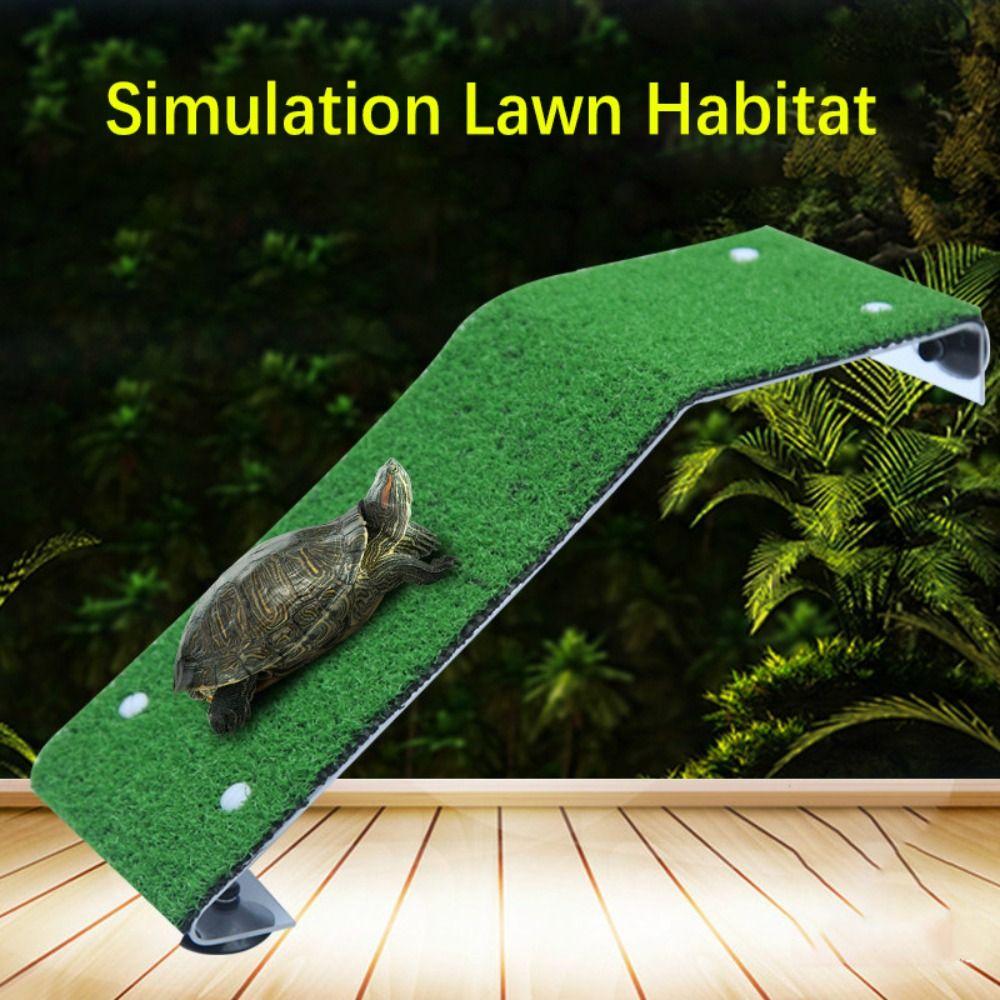 Akrylová rampa pro plazy Platforma Silná přísavka Žebřík pro lezení želv Želva