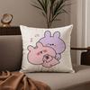 A-Asamimichan Cute Bunny Pillow Case Comfort Sofa Bed Silky Elegant Invisible Zipper Custom Decorative Cushion Cover