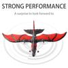 Remote Control Plane, 2.4Ghz Remote Control Airplane with Gyro Stabilizer & 2 Batteries, EPP Foam