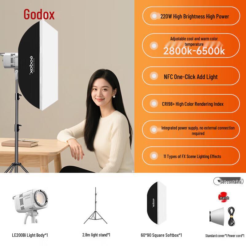 Godox LE200Bi Bi-Color LED Video Light Kit