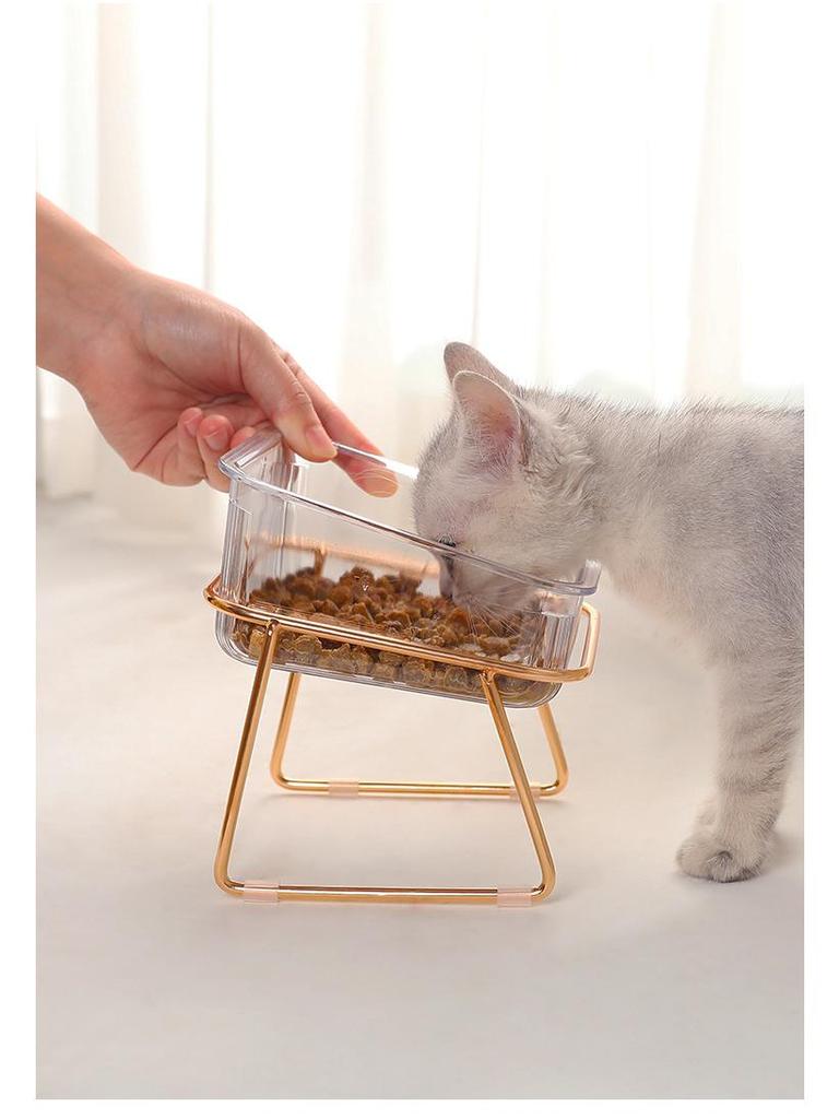 Double Bowl Raised Cat Feeding Set: Anti-Tip, Transparent Design for Cats