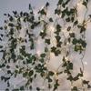 Green Leaf & Maple Pothos LED Solar String Lights
