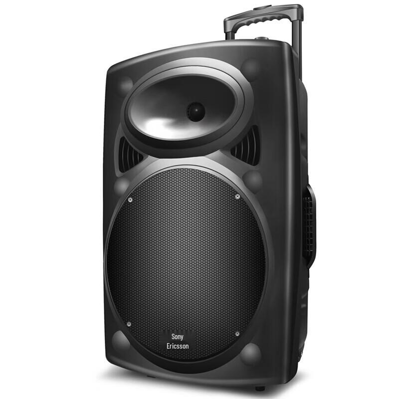 Soaiy SA-X35 12-inch Portable Karaoke Bluetooth Speaker with Dual Microphones