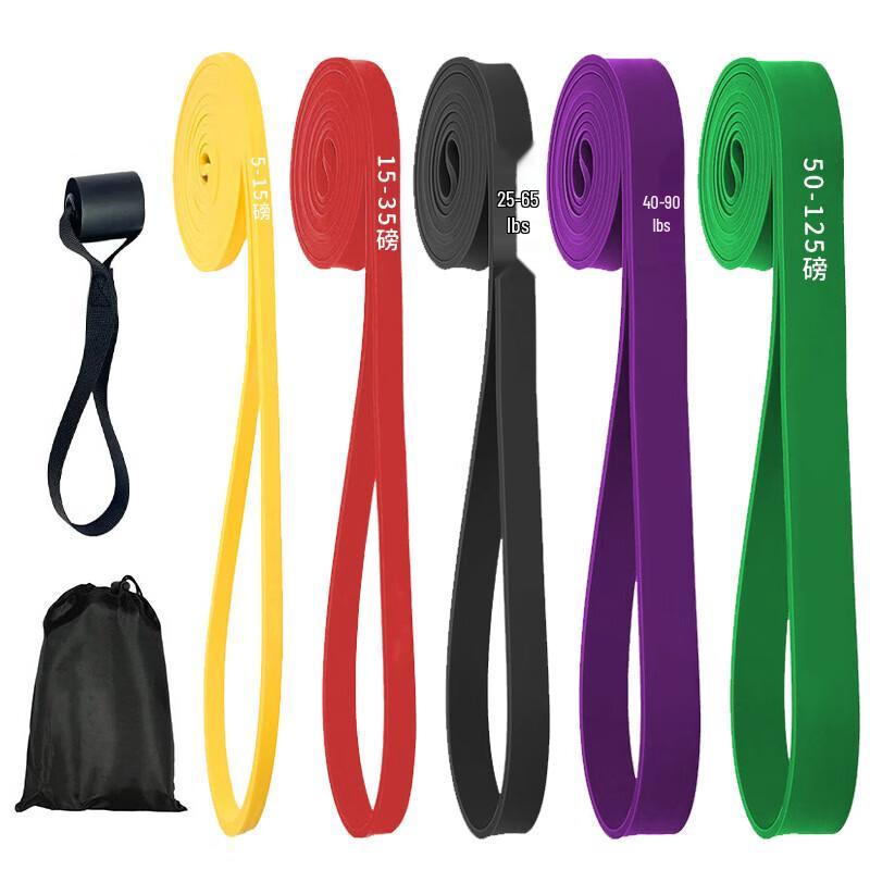Longchanqi Resistance Band and Assisted Pull-up Set