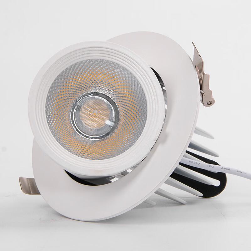 Oeny Embedded LED Spotlight
