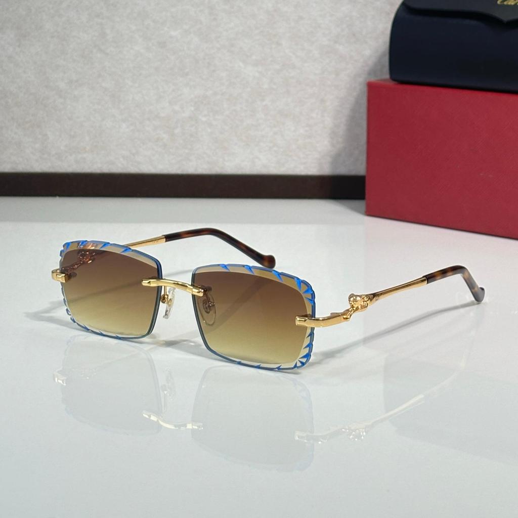 CT02507J Unisex Frameless Leopard Sunglasses - Fashionable, Versatile, Photochromic for Parties and Vacations