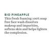 Washing Gel with Pineapple: for Normal and Oily Skin (200 Ml), Pineapple Oil Control Foaming Face Wash, Biotique