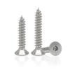 Stainless Steel Flat Countersunk Hex Head Self-Tapping Screws (1.4M-10M)