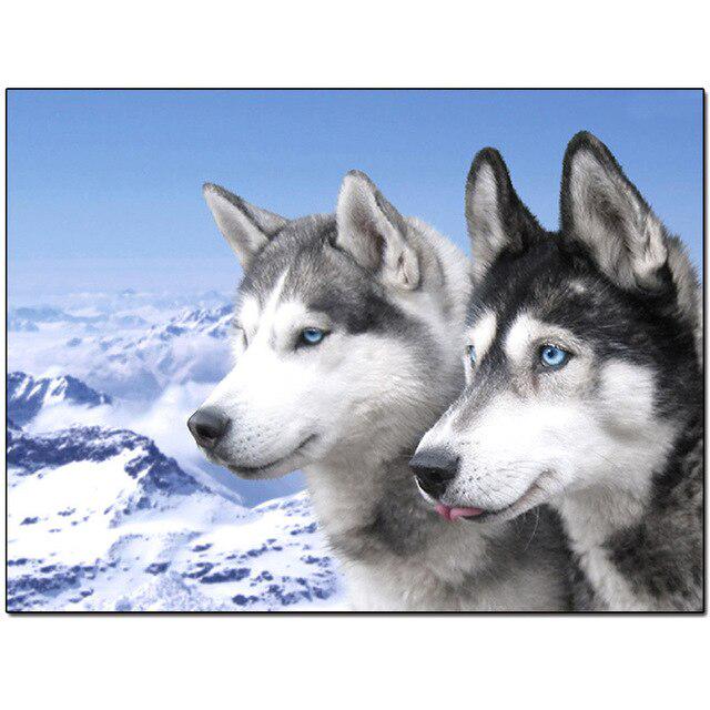 DIY 5D Full Diamond Painting Cross Stitch Painting White Wolf Diamond Embroidery