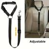 Solid Color Two-in-one Pet Car Seat Belt Nylon Lead Leash Backseat Safety Belt Adjustable Dogs Harness Collar Pet Accessories