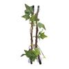2Pcs 17 Inch Reptile Branches with Suction Cups Lizard Climbing Vines