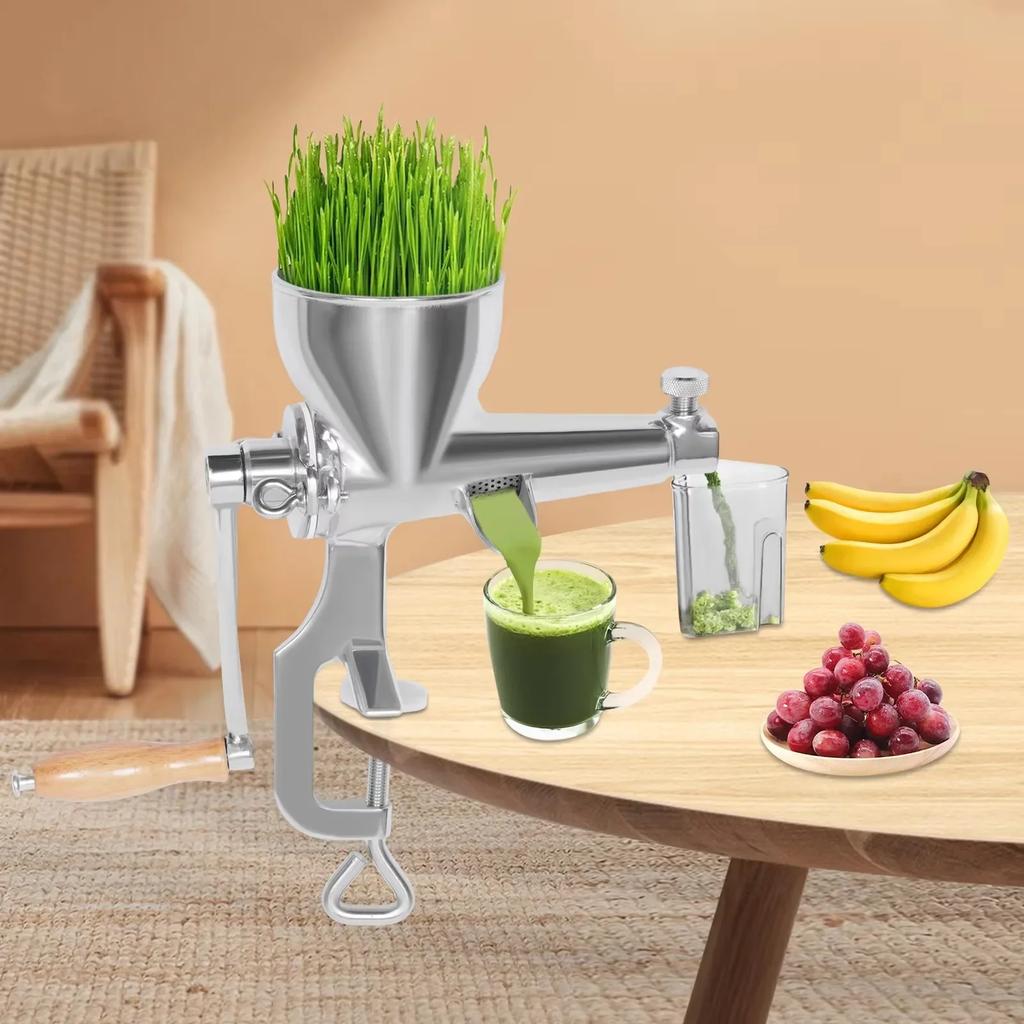 Manual Juicer Fruit Press Stainless Steel Juicer for Table Mounting, Manual Berry Press Small Fruit Vegetable Juicer for Kitchen