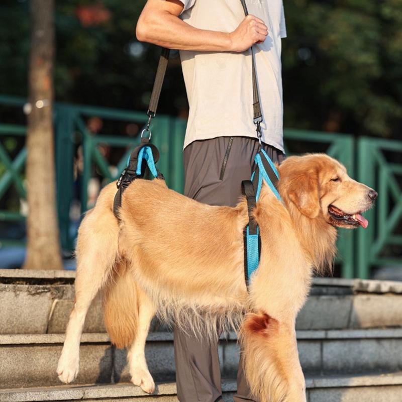 Podpůrný postroj pro starší psy Nastavitelná pomůcka pro mobilitu pro postižené, zraněné, staré mazlíčky S rychloupínáním Měkké polstrování