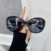 Designer Brand Cat Eye Sunglasses Women Men Colorful Cateye Frame Sun Glasses Female Mirror Colors Cool Fashion