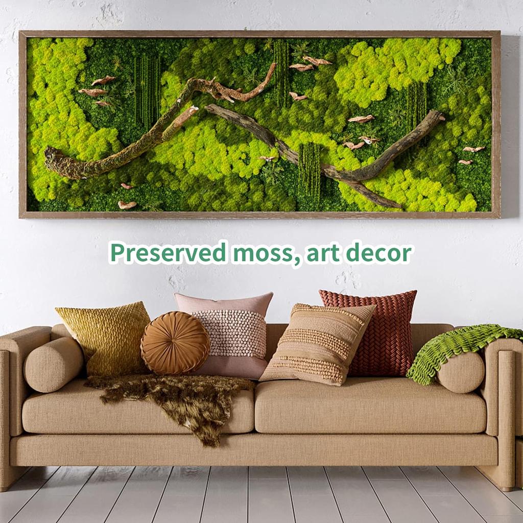 20/40/100g Eternal Life Moss DIY Crafts Grass Artificial Green Plants Home Room Garden Decor Mini Landscape Fake Grass Bonsai