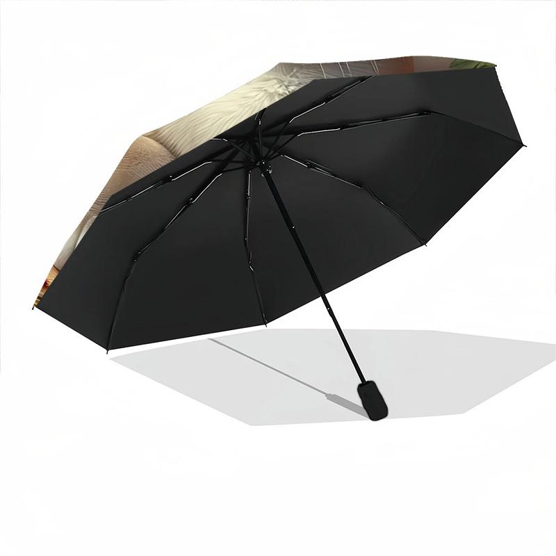 1pc Cat Floral Decor Automatic Folding Umbrella - 8-Rib Durable Iron Frame, Compact Portable for Daily Travel yy251205001