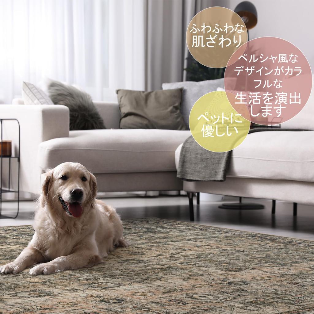 HAOCOO 90 X 150 Suitable for All Persian Style 1 Tatami Compatible with Hot Dust Mite Odor Soundproof Living Chair Antique Floral Pattern Rug,