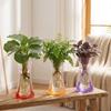 5Pcs Folding Hydroponic Floral Vase Shatterproof Plant Containers  Outdoor Travel