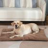 Self Heating Pet Pad Self Warming Cat Bed Soft Skin Friendly Dog Cat Heating Mat Portable Washable Thermal Pet Mat for Indoors Outdoors