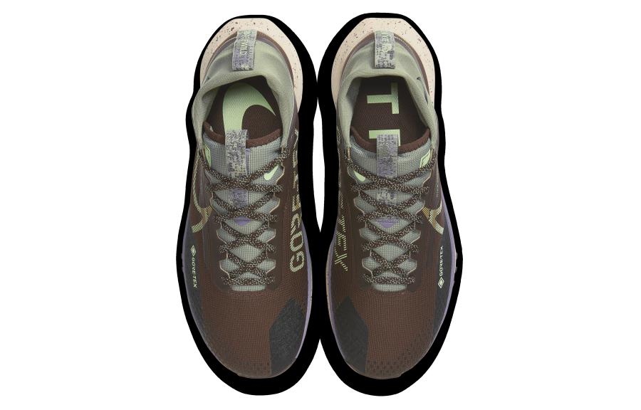 Nike React Pegasus Trail 4 GORE-TEX 'Earth Dark Stucco'