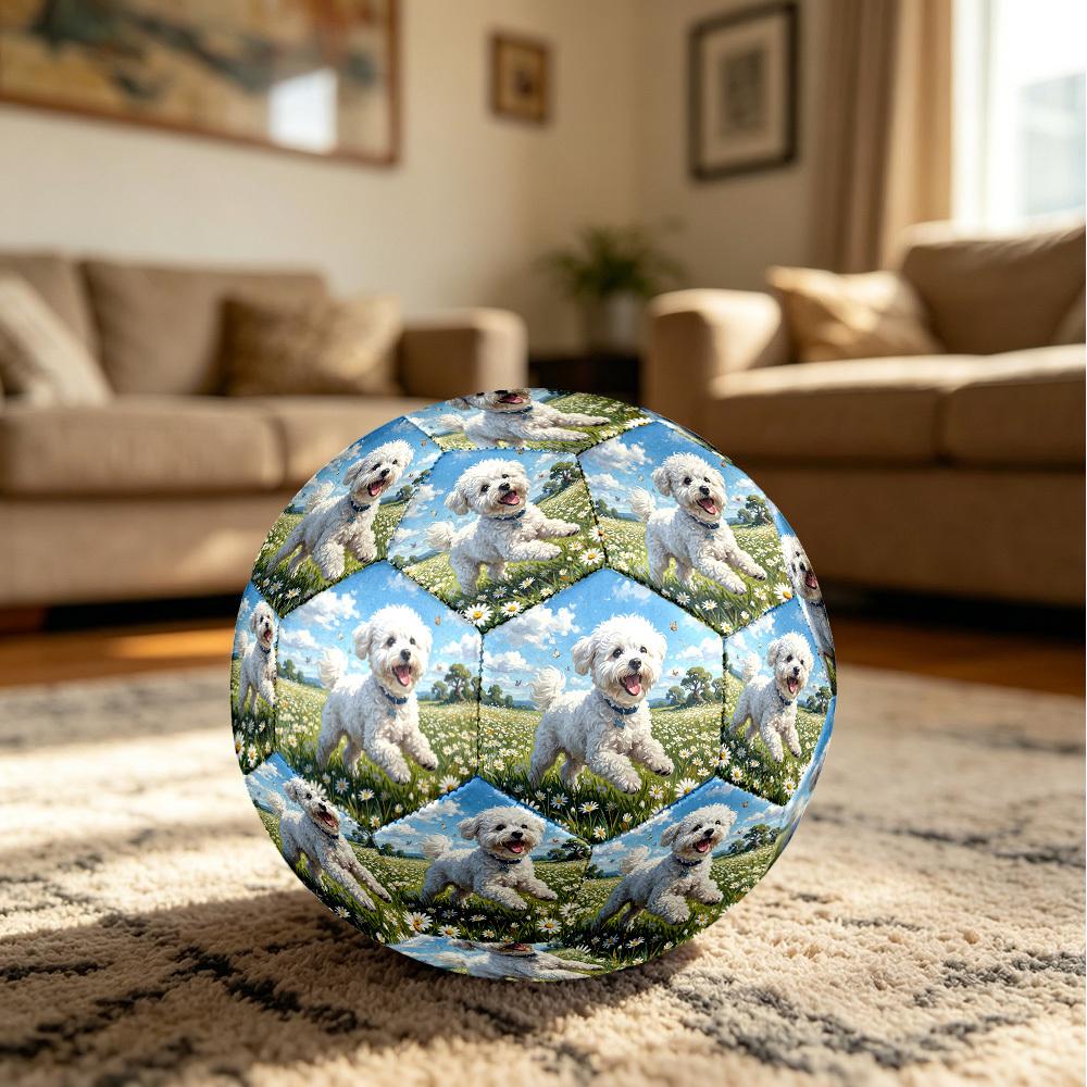 1pc Daisy Field Pup Theme Soccer Ball Football, Size 5, Lightweight PVC, Durable Outdoor Training Soccer Ball, Gift M61485