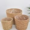 Nordic Style Hugging Plant Set: Woven Straw Flower Pot for Living Room & Balcony Decoration