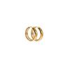 Elegant Gold Stainless Steel Earrings - Versatile, Trendy, and High-Class Jewelry for a Sophisticated Look.