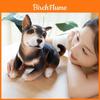 Jucărie adorabilă din pluș cu câine, cu design pătat, Akita și Husky, păpușă moale, cadou pentru copii