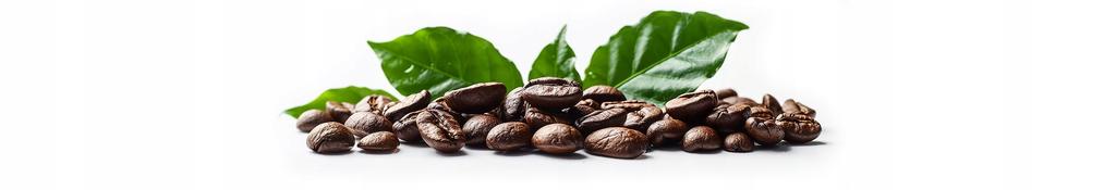 Kaffeebohnen 1kg Brasilien 100% Arabica Frisch Geröstet SkimaCoffee + gratis