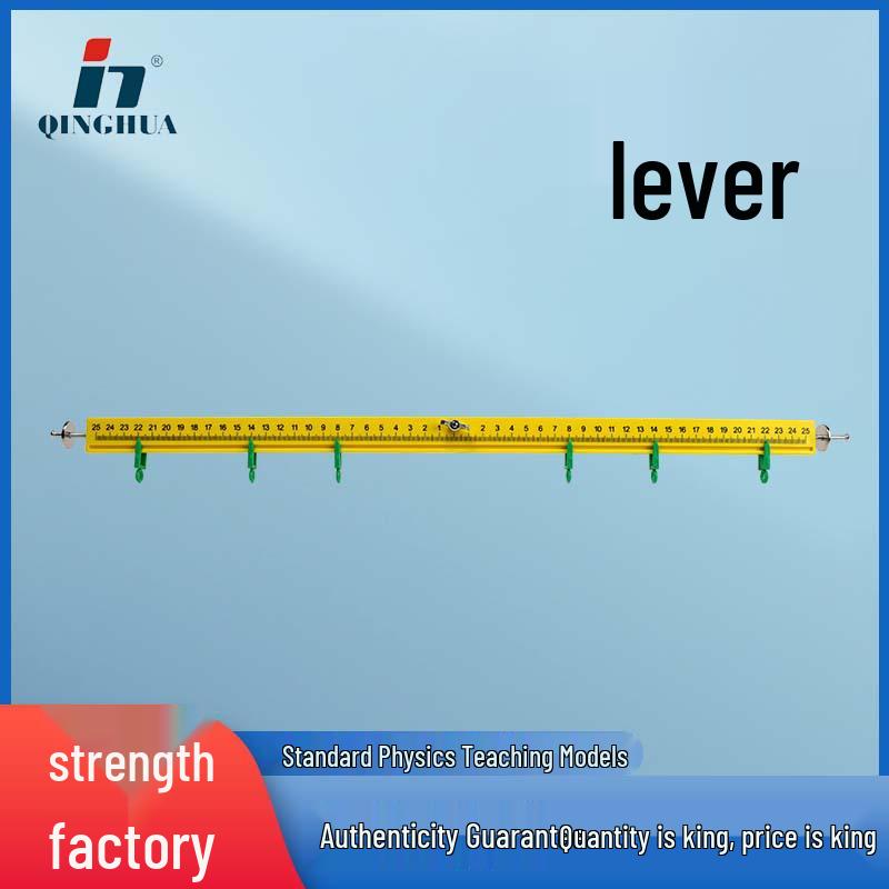 Large Plastic Lever Balance for School Physics and Mechanics Experiments