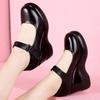 Nieuwe Lage Leren Schoenen Dames Mary Janes Herfst Hoge Hakken Plateau Sleehakken Schoenen Moeder Kantoor 2026