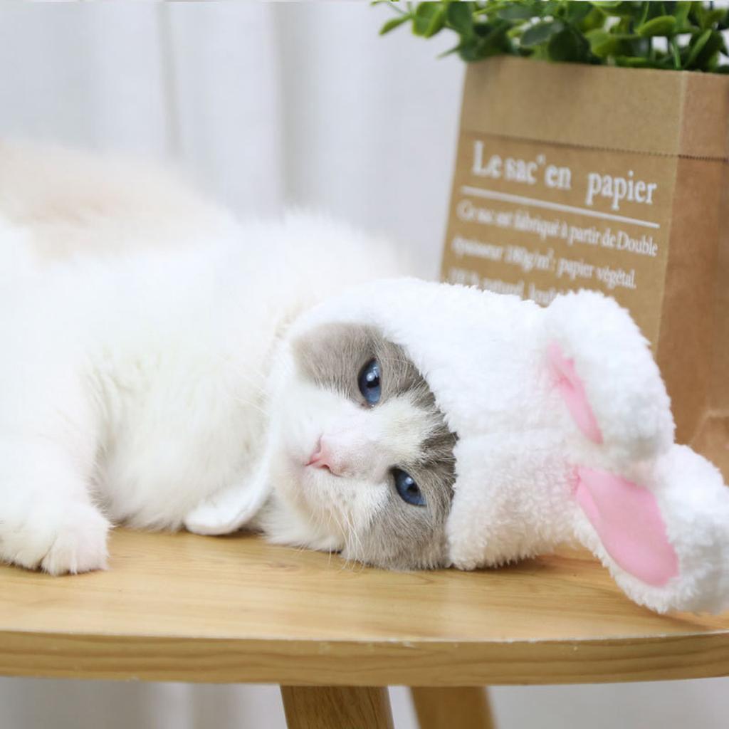 Malý pes kočka s ušima Legrační velikonoční králík oblečení pet doplňky