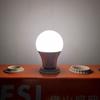 FSL E27 LED White Light Bulb