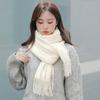 Autumn and Winter Scarf Shawl High end Versatile Solid Color Scarf for Women Autumn and Winter Warm New Imitation Cashmere Scarf
