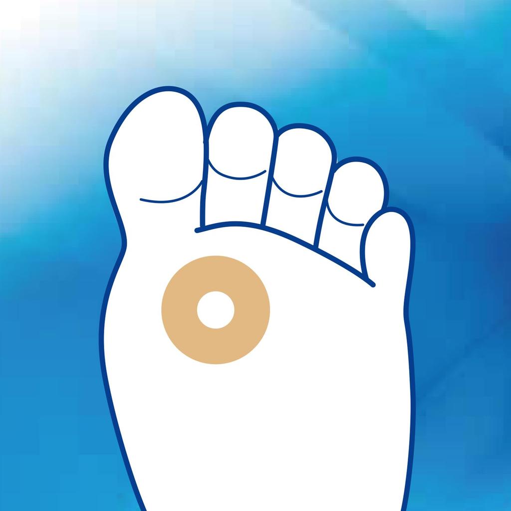Kokubo Industries Foot Care Sole Blister Protection Pads of 6 Pads Per Protective Cushion for Soles of Foot Blisters Made In (Set 4, Pack)