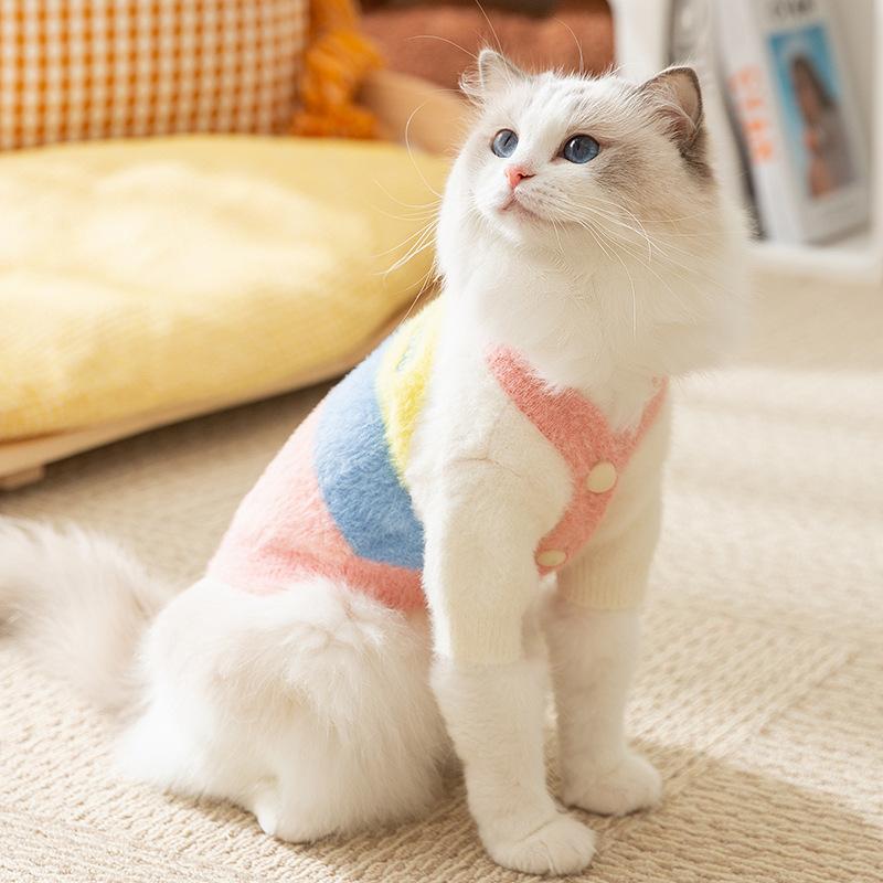 Cat Autumn and Winter Warm Rainbow Striped Cardigan Sweater Puppy Dog Hairless Cat Knitted Two-legged Pet Cat Clothes