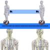 Human Acupuncture Model with Meridian Points Male Acupuncture Model Female Acupuncture Model with Numbered Chinese Point
