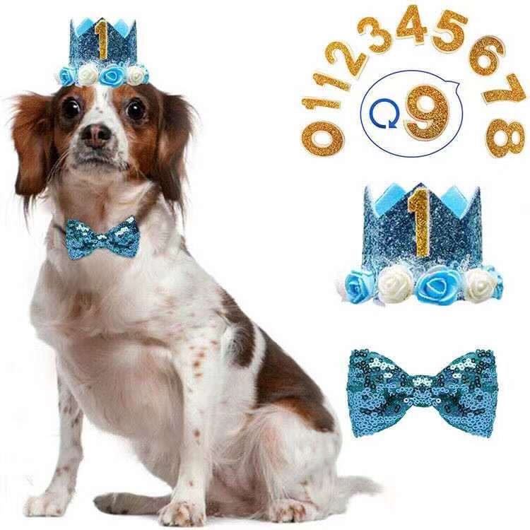 Hot Selling Dog Birthday SET Decoration (as the picture,185g)