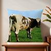 Ppinkk singer Ffloydd cushion cover For Pillow Printing Sofa Decoration Home Car Room Coffee Shop Office Nordic Simplicity
