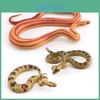 Realistic Pvc Corn Snake Model For Home Decor And Educational Display 65g