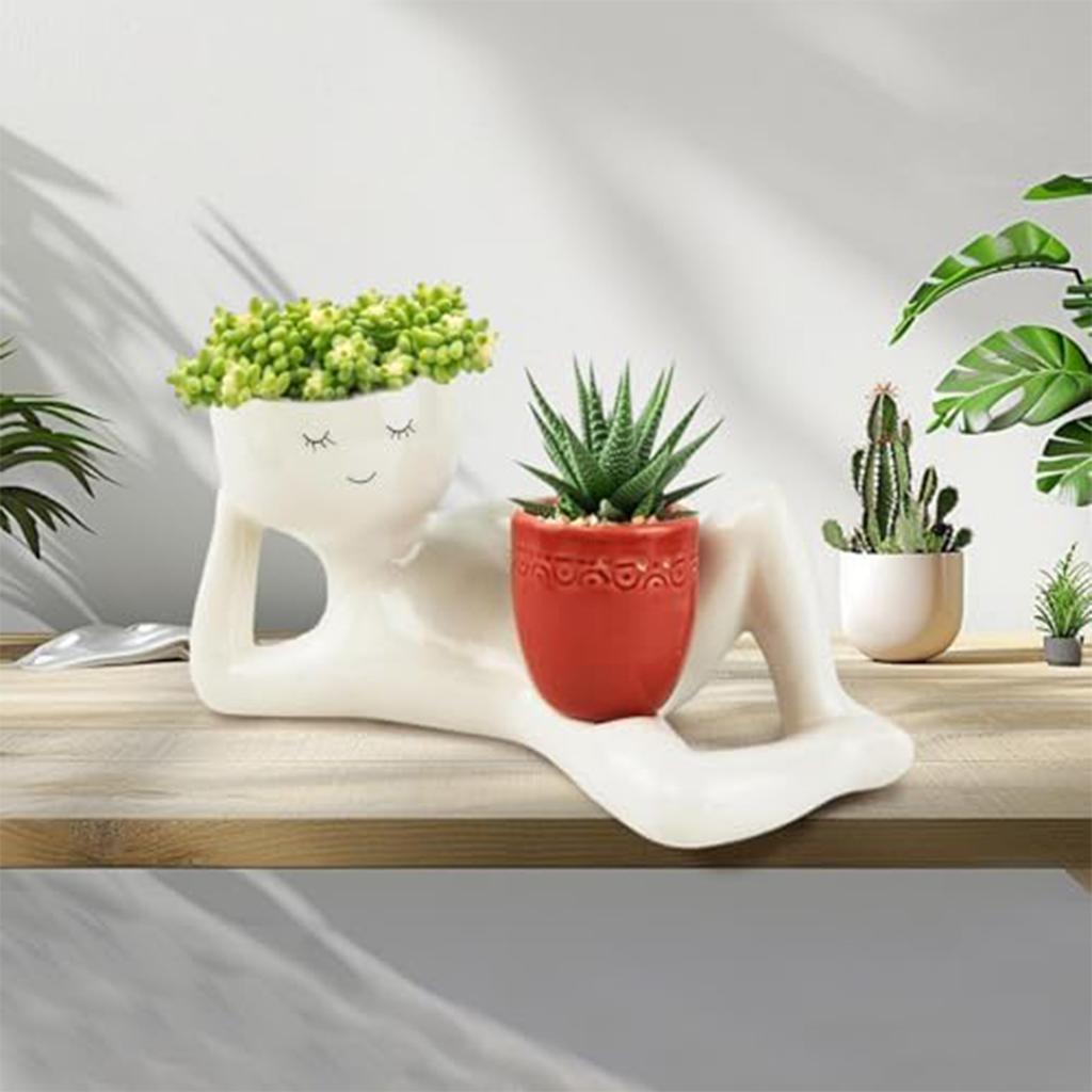 Interesting Resin Flower Pots, Beautiful Lying Postures Of Plants And Cacti, Unique Garden Decoration Gifts