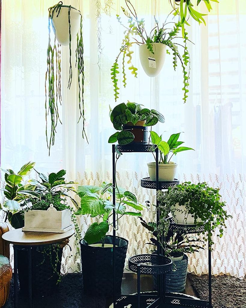 Susire Flower Folding Gardening Flower Fall Indoor Gardening Pot Garden 4 High Potted Plant Entrance Stand, Shelf, Stand, Iron, Prevention, Rack,