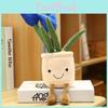 Plush Succulent Plant Series Tulip Plush Toy With Cartoon Design For Living Room Decor