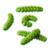 3D Printed Caterpillar Toy 1/5/10Pcs Figurine, Movable Joints Fidget Realistic Figurine Toy, Articulated Insect Figure for Stress Relief PLA