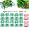20 Plastic Strawberry Racks With 20 Strawberry Forks, Strawberry Trays, Antiseptic Strawberry Planting Racks, Plant Fruit Support Pads