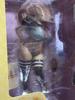 [USED] Super Pochaco Lingerie Football ver.
