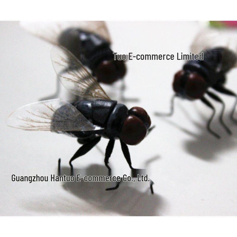 

Магнит-ловушка для мух на холодильник: Образовательный и розыгрышный декор Small Green 2CM