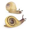 Kids' Educational Snail Garden Models & Miniature Landscape Ornaments