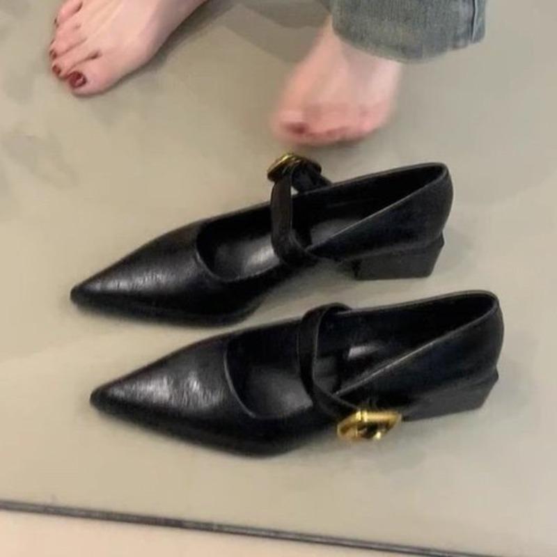 2025 New  Pointed Mary Jane Single Shoes Women's Spring New Fashion Retro Shallow Mouth Thick Heel Small  Shoes